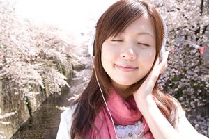 【最新版】コスト削減と省エネを実現!最適なプレハブ冷蔵庫選びと導入のポイント